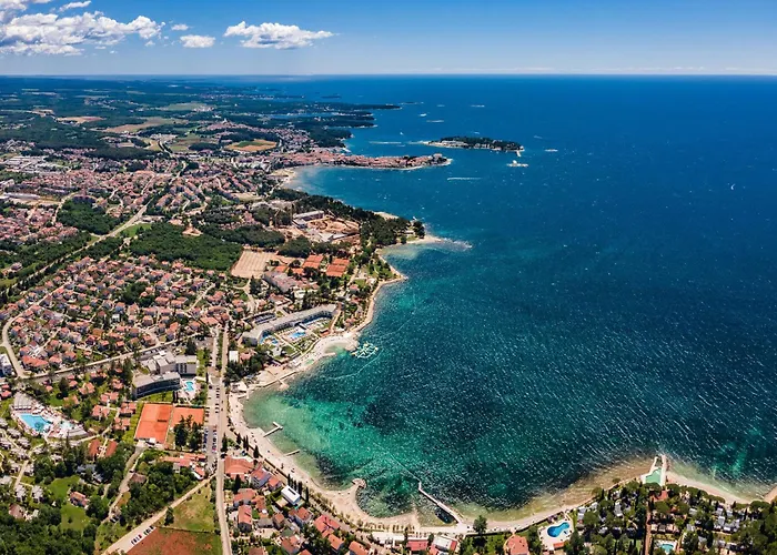 Felix By Interhome Kukci